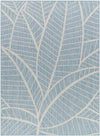 Smolan Coastal Light Teal Area Rug