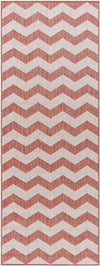 Spring Global Dark Coral/Ivory Area Rug