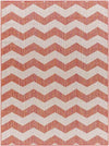 Spring Global Dark Coral/Ivory Area Rug