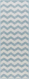 Spring Global Sky Blue/Ivory Area Rug
