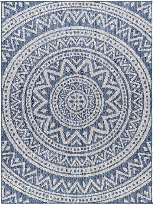 St Ansgar Global Navy/Silver Gray Area Rug