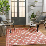 Thornhill Global Dark Coral Area Rug