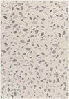 Buckhorn Modern Light Gray Area Rug