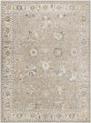 Falls Traditional Taupe Area Rug