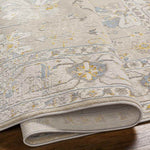 Falls Traditional Taupe Area Rug