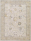 Falls Traditional Ivory Area Rug