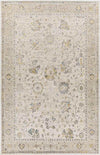 Falls Traditional Ivory Area Rug