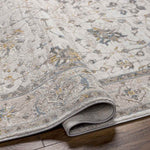 Falls Traditional Ivory Area Rug