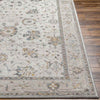 Falls Traditional Ivory Area Rug