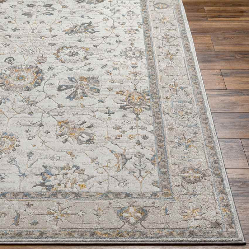 Falls Traditional Ivory Area Rug