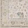 Falls Traditional Ivory Area Rug