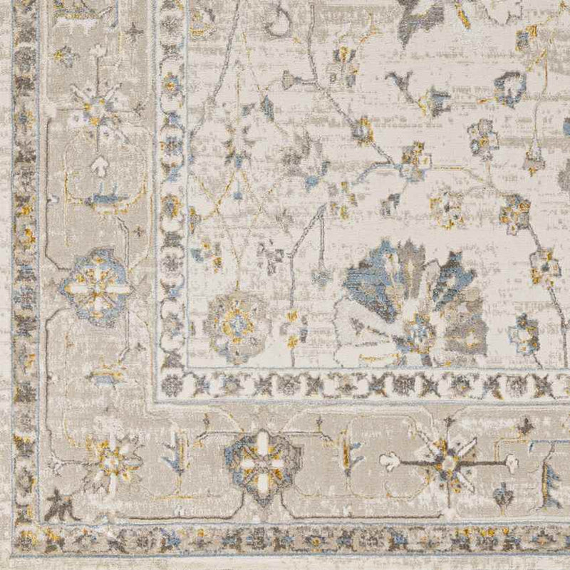 Falls Traditional Ivory Area Rug
