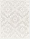 Camanche Modern Ivory Area Rug