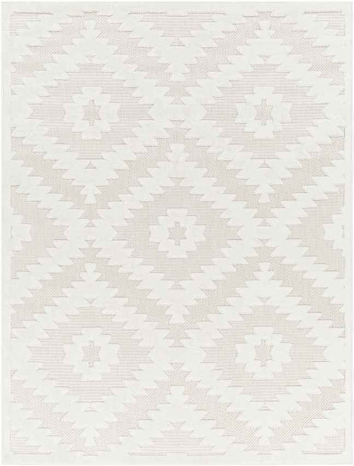 Camanche Modern Ivory Area Rug