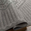 Campton Modern Medium Gray Area Rug