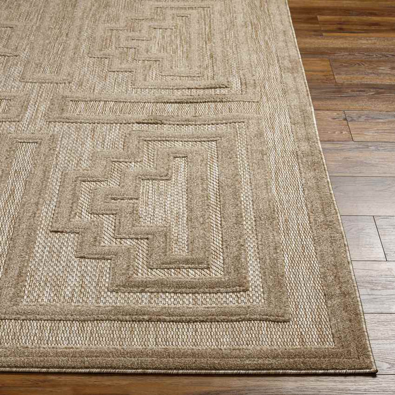 Cassoday Modern Brown Area Rug