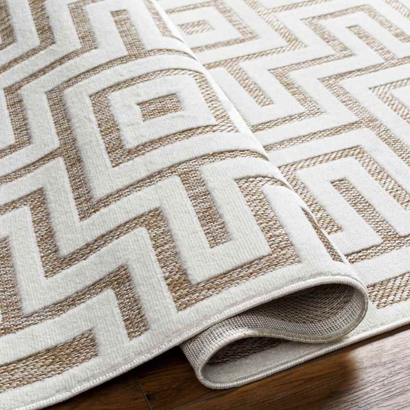 Chanute Modern Brown Area Rug