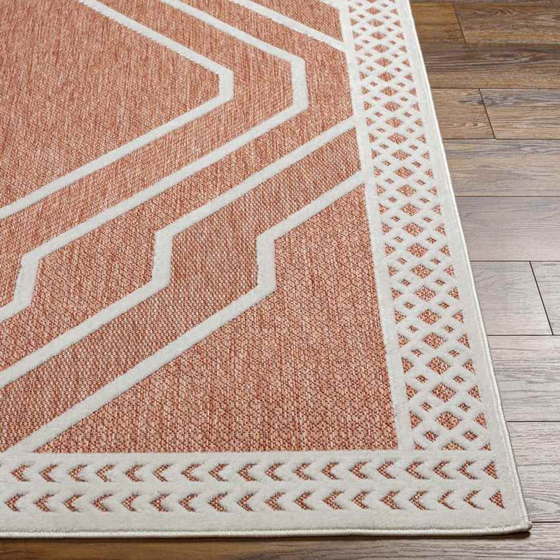 Cheney Modern Burnt Orange Area Rug