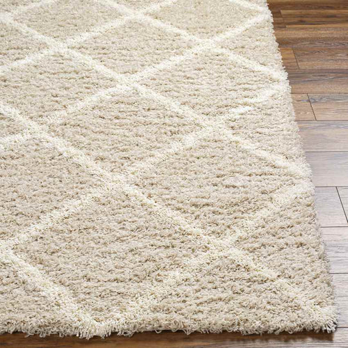 Blencoe Cottage Beige Area Rug