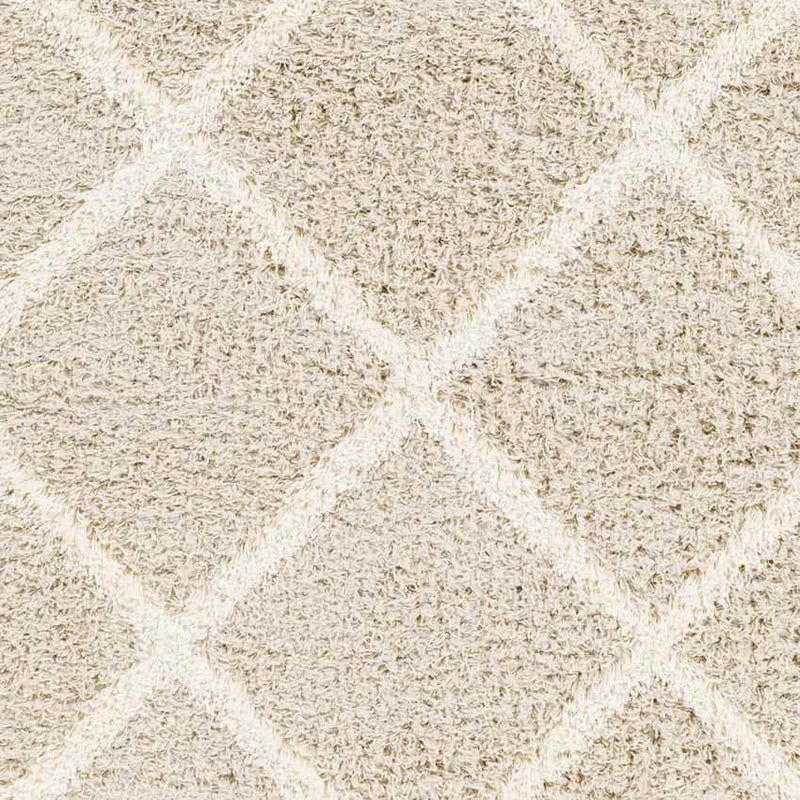 Blencoe Cottage Beige Area Rug