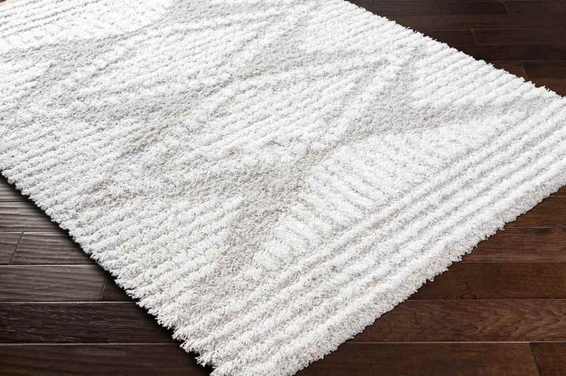 Bonaparte Global Light Gray Area Rug