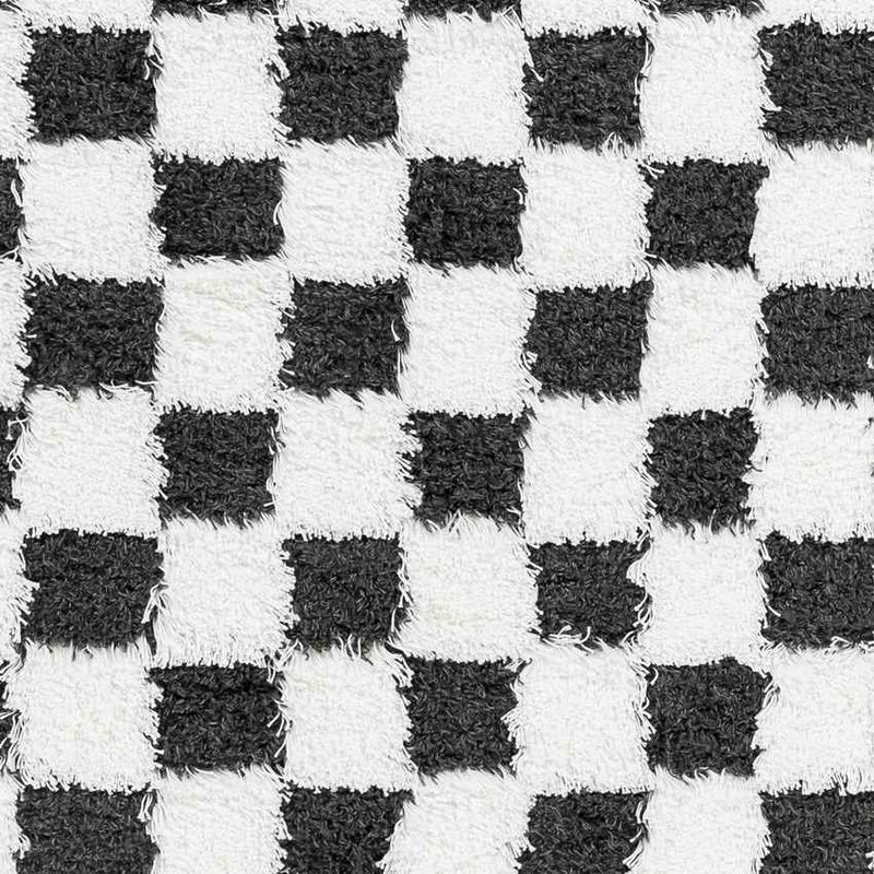 Bondurant Modern Black Area Rug