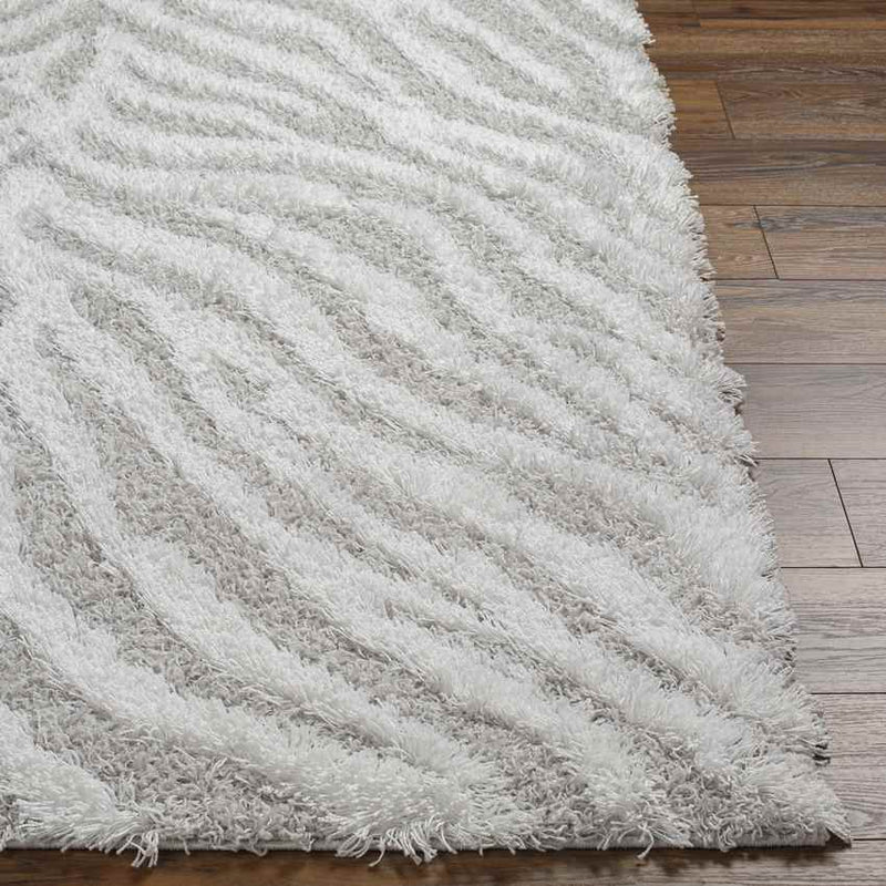 Boomer Modern Light Gray Area Rug
