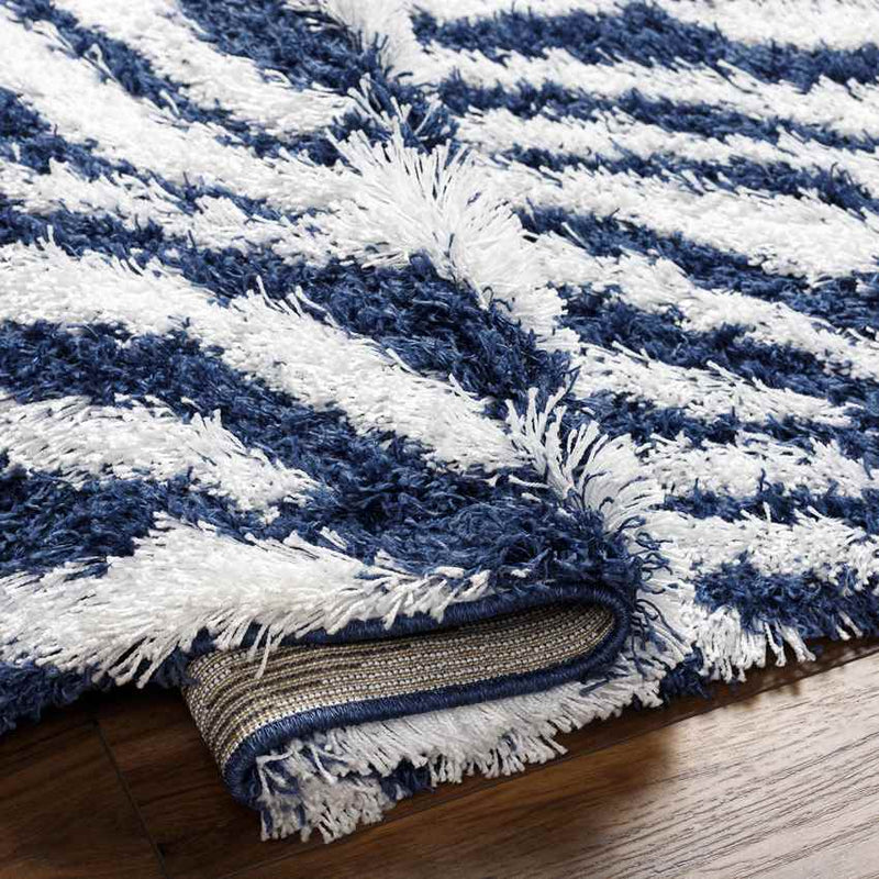 Boomer Modern Dark Blue Area Rug