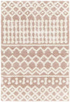 Carter Global Peach Area Rug