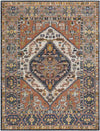 Druid Hills Traditional Burnt Orange Area Rug