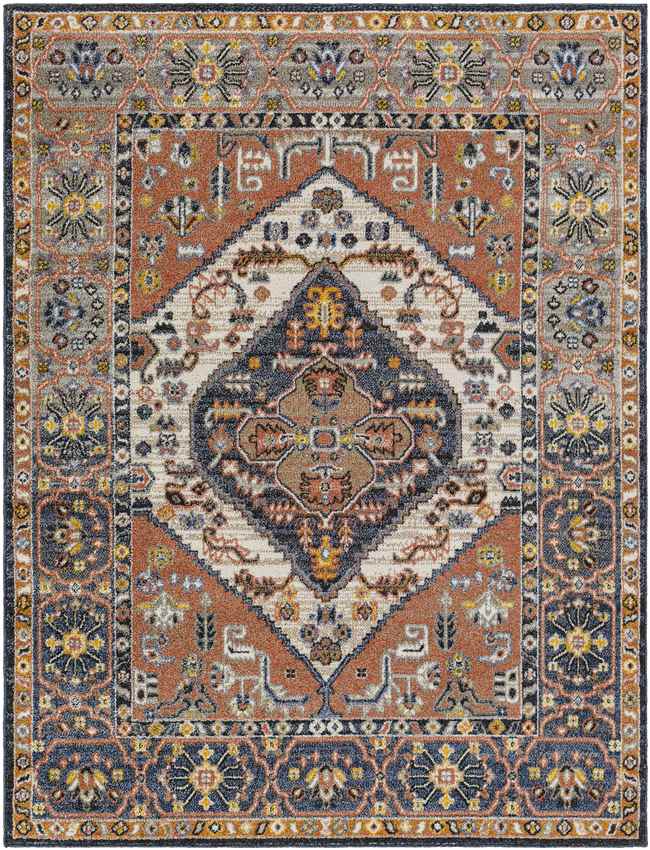 Druid Hills Traditional Burnt Orange Area Rug
