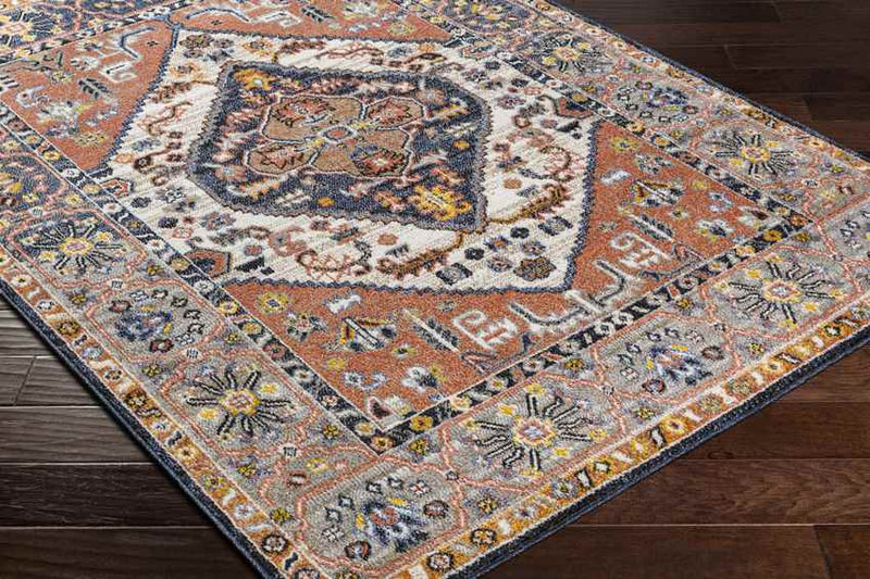 Druid Hills Traditional Burnt Orange Area Rug