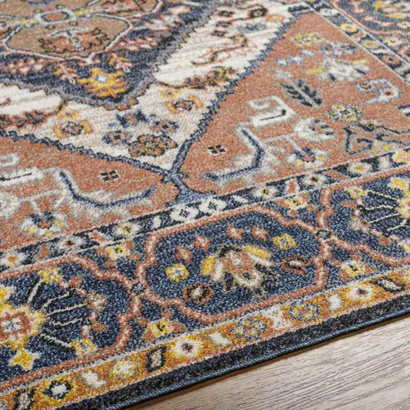 Druid Hills Traditional Burnt Orange Area Rug