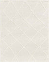 Hutchinson Modern Cream Area Rug