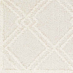 Lake Creek Modern Light Gray Area Rug