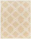 Lake Creek Modern Light Orange Area Rug