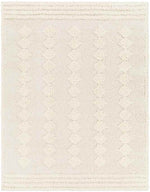 Lick Creek Modern Light Gray Area Rug