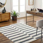 Lodomillo Modern Charcoal Area Rug