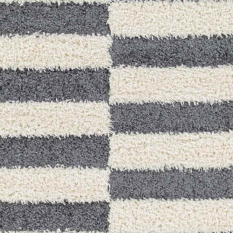 Lodomillo Modern Charcoal Area Rug