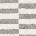 Lodomillo Modern Medium Gray Area Rug