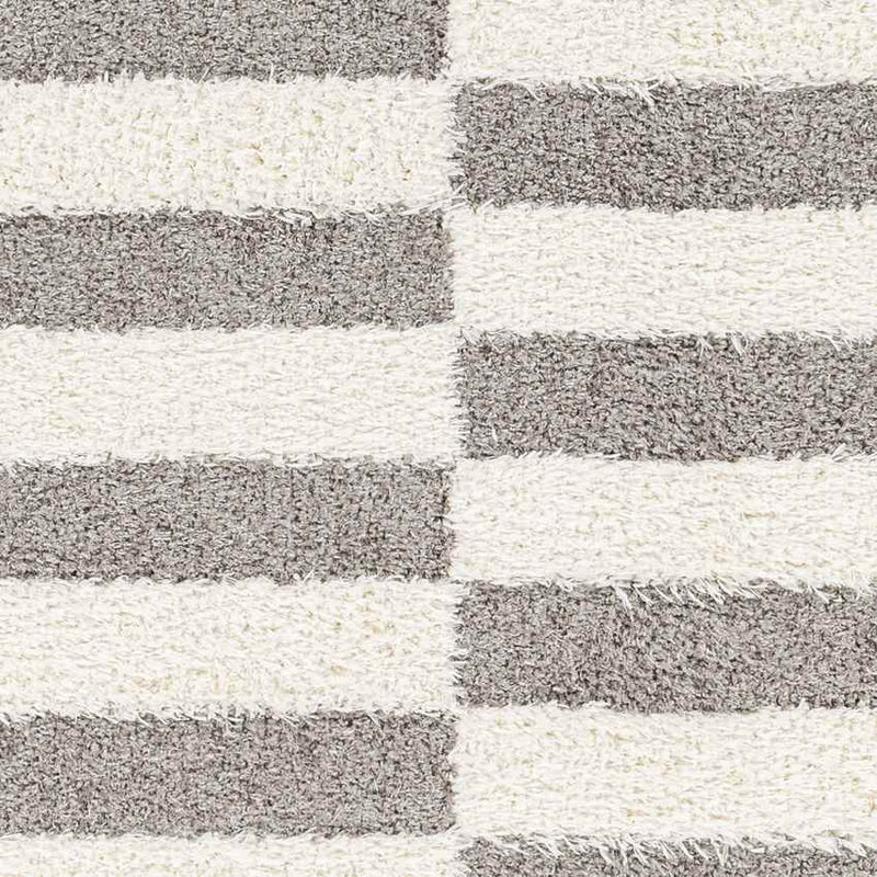 Lodomillo Modern Medium Gray Area Rug