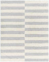 Lodomillo Modern Light Gray Area Rug