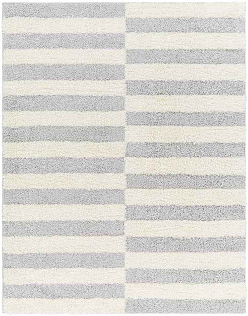 Lodomillo Modern Light Gray Area Rug