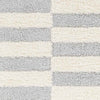 Lodomillo Modern Light Gray Area Rug