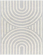 Long Island Modern Gray Area Rug