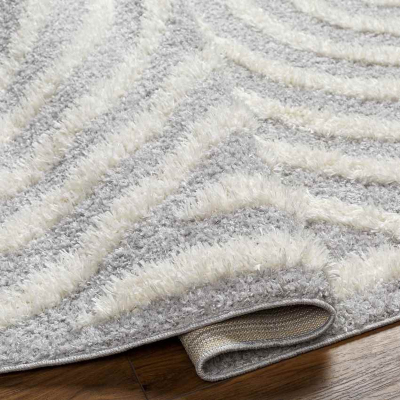 Long Island Modern Gray Area Rug