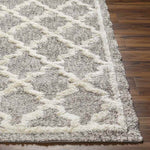 Clay Center Global Taupe Area Rug