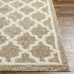 Clay Center Global Brown Area Rug