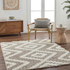 Honey Creek Global Ivory/Brown Area Rug