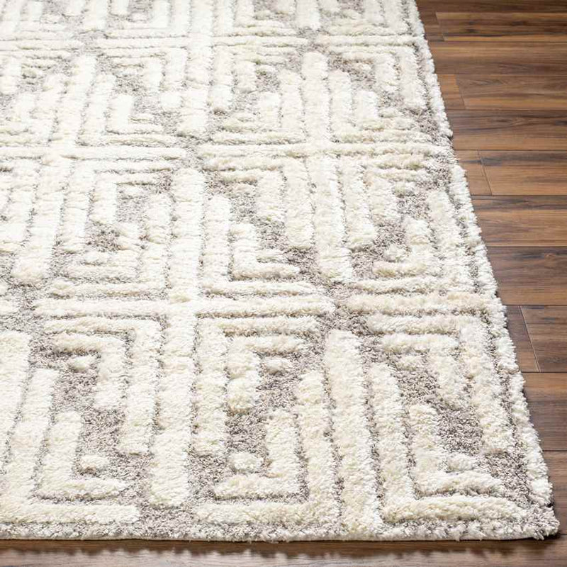 Hustonville Global Taupe Area Rug